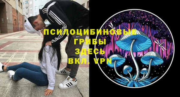 МДПВ Белоозёрский