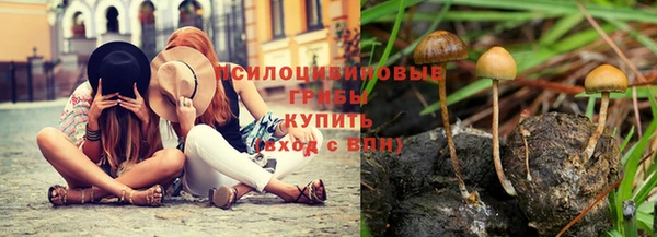 герыч Бородино