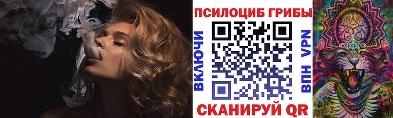 Псилоцибиновые грибы Psilocybe  Калтан 